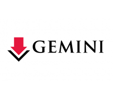 Gemini Gemini