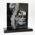 Custom Acrylic Awards - Distinctive Series