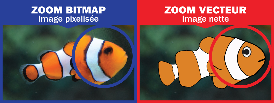 Vecteur ou Bitmap