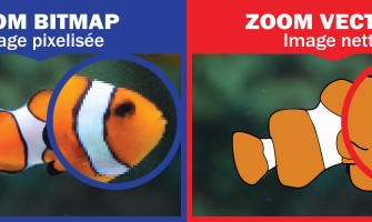 Vecteur ou Bitmap